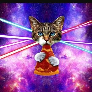 Meet your Posher, Thompson